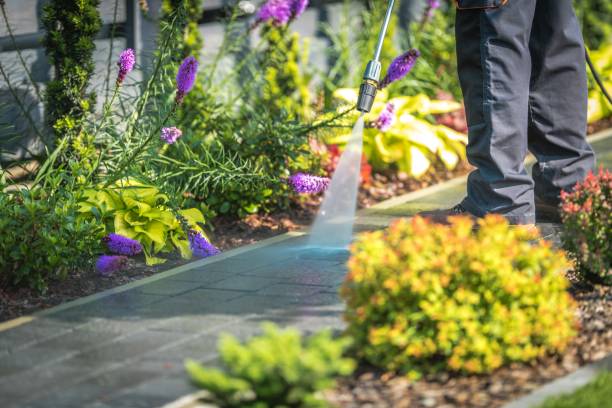 Animal Enclosure Cleaning in Anacoco, LA