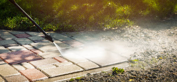 Best Solar Panel Cleaning  in Anacoco, LA